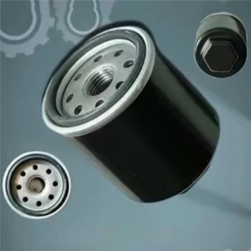 SHGO-320-400CC BS175MN-184MN F - Motorcycle Oil Filter recensione e prezzo